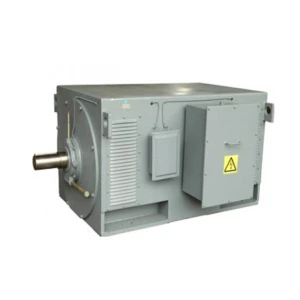 มอเตอร์ไฟฟ้าแรงดันสูง High Voltage Motor รุ่น HDP